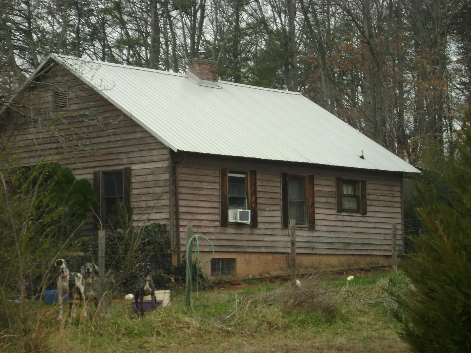White metal roof on an old wood sided farmhouse, from a Asphalt Shingle Roof Repair job in Lake Mills